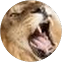 Gio Franco profile picture